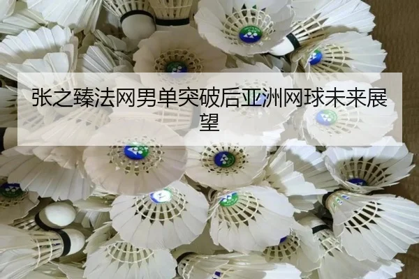 张之臻法网男单突破后亚洲网球未来展望 - yinghuang